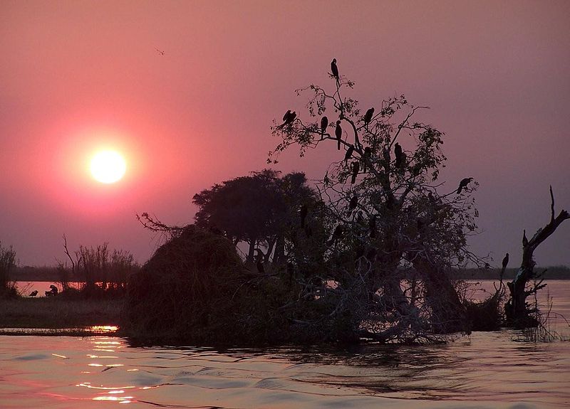 File:Chobe River.jpg