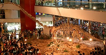 Cityplaza dinosaur fossil.JPG