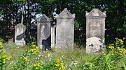 Miniatuur voor Bestand:Cmentarz żydowski w Żorach 1.jpg