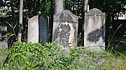 Miniatuur voor Bestand:Cmentarz żydowski w Żorach 2.jpg