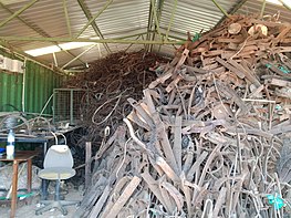 Confiscated snares and traps inside the Anti Trafficking Center at Murchison Falls National Park