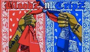 The Bloods and Crips are notorious rivals.