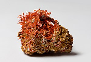 Crocoite from the Dundas extended mine, Dundas, Tasmania, Australia.jpg