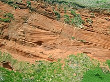 Cross-bedded Permian Sandstone - geograph.org.uk - 71404.jpg