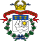 municipal flag