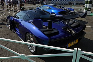 DSC03051-McLaren Senna