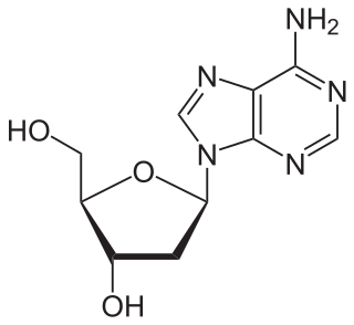<span class="mw-page-title-main">Nucleoside</span> Any of several glycosylamines comprising a nucleobase and a sugar molecule