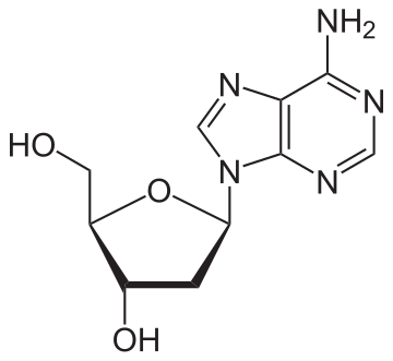 Nucleoside