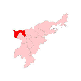 <span class="mw-page-title-main">Dhing Assembly constituency</span> Constituency of the Assam legislative assembly in India