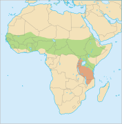 Distribution G. senegalensis.svg