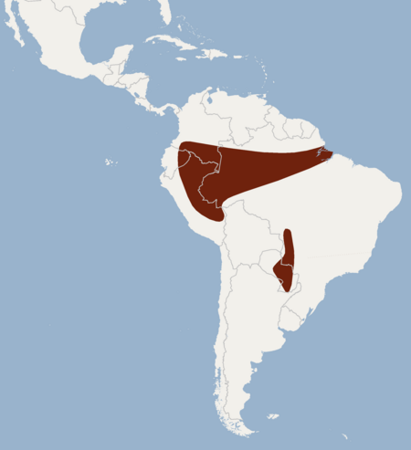 Tập_tin:Distribution_of_Myotis_simus.png