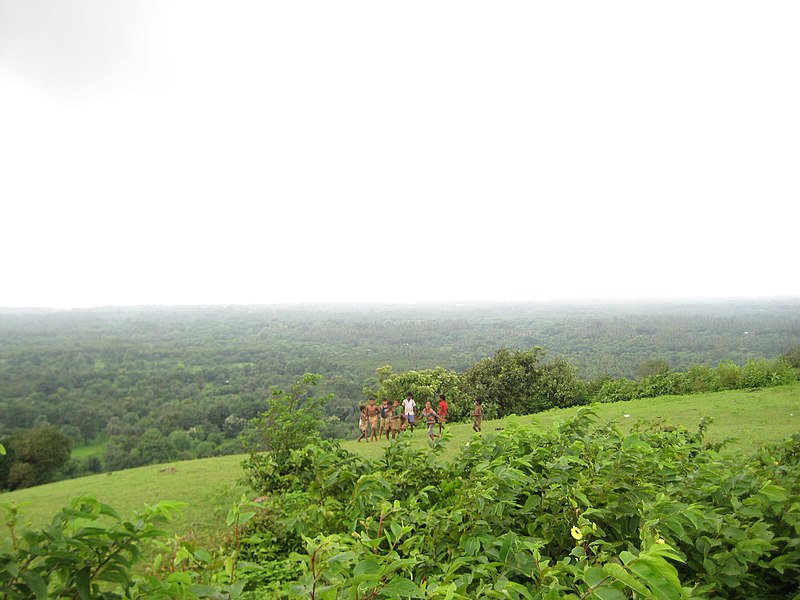 File:Dongarpada, Kosbad, Dahanu - panoramio.jpg