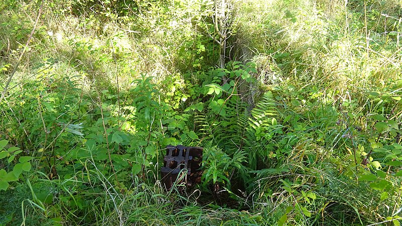 File:Drummuir railway station, Keith and Dufftown Railway. Old buffer stop.jpg