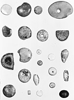 Thumbnail for File:Dura-Europos archival photograph, YUAG negative number yale1028 -object-id-14133.jpg