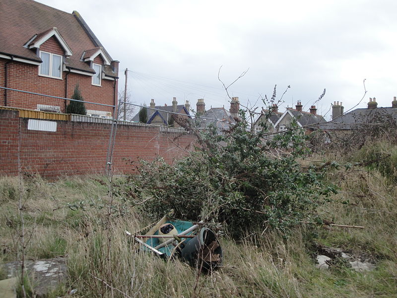 File:East Cowes Frank James Hospital grounds in March 2012 11.JPG