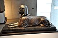 Auch die alten Römer mochten Sphinxe.