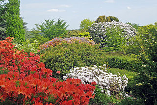 <span class="mw-page-title-main">Emmetts Garden</span> Edwardian house and gardens at Ide Hill, Kent, England