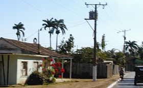 Guayacanes'e giriş