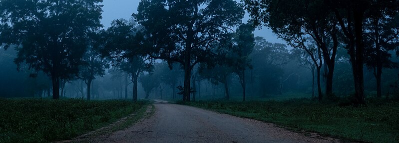 File:Entrance to the mystic heaven.jpg