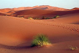 Az Erg Chebbi sivatag Marokkó keleti részén