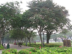 Esplanade Park, Oct 06.JPG