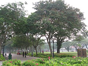Эспланада (парк, Сингапур)