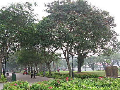 How to get to Esplanade Park with public transport- About the place