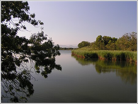 Etang de villepey 1