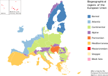 European Union Wikipedia