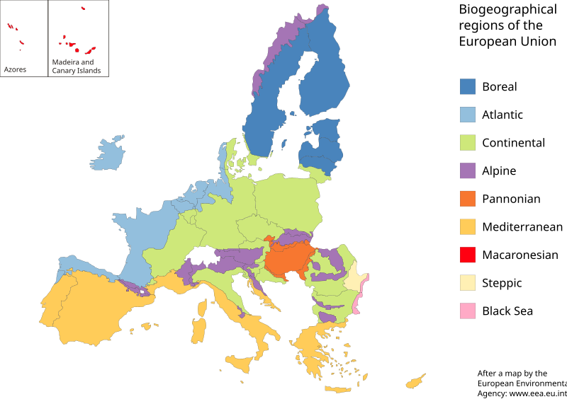 Europ?Ische Union Wikipedia / Europäische Buddhistische Union - Wikipedia / Prolistujte stránky ...