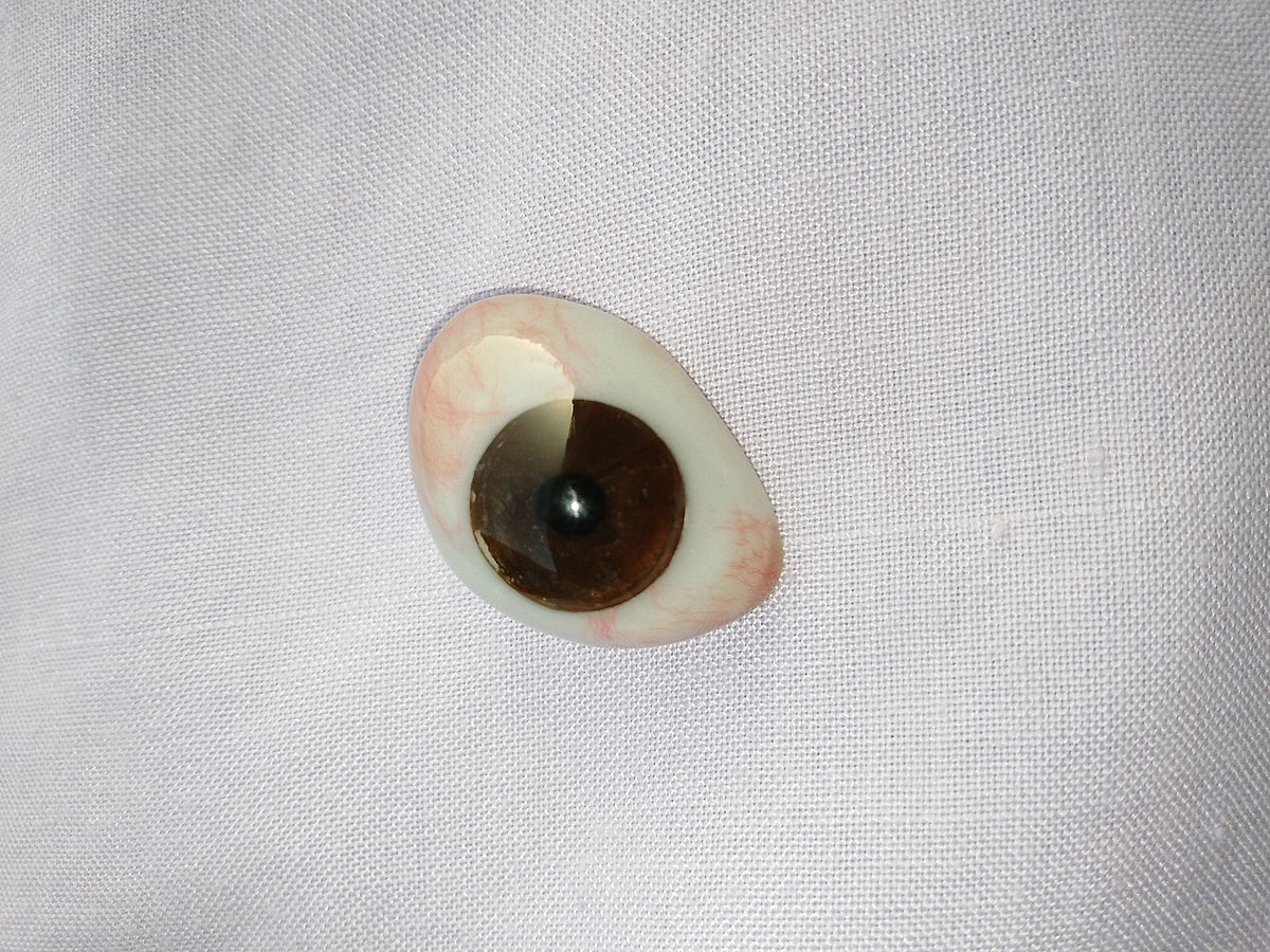 Custom Made Prosthetic Eye