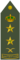 Saudi Royal Guard Regiment