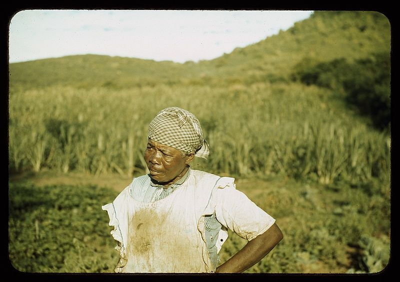 File:FSA - T P borrower in her garden 1a34005v.jpg