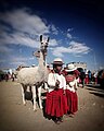 Festival de la llama Bolivia