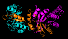 Fig 7: IGPS (purple), shared (orange), and PRAI (turquoise) reaction domains Fig 7 pymol enzyme.png