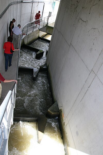 File:Fischtreppe-Staustufe Iffezheim2.JPG