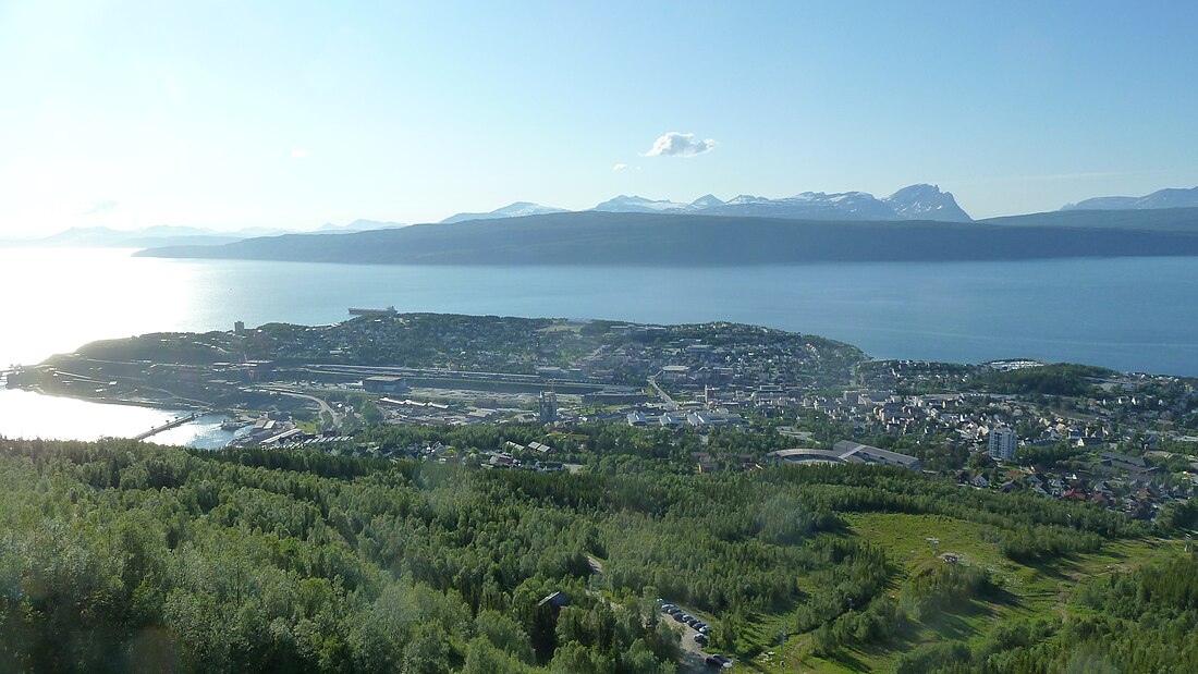 Narvik (town)