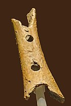 A bone flute which is over 41,000 years old. Flute paleolithique (musee national de Slovenie, Ljubljana) (9420310527).jpg