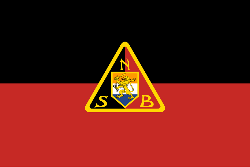 File:Flag of National Socialist Movement.svg