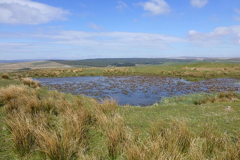 File:Flooded disused quarry - geograph.org.uk - 5379417.jpg