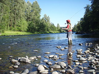 South Santiam River river in the United States of America