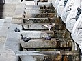 Fonte del Calamo Ancona piccioni alla fonte