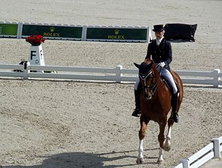 Trude Hestengen Norwegian dressage rider