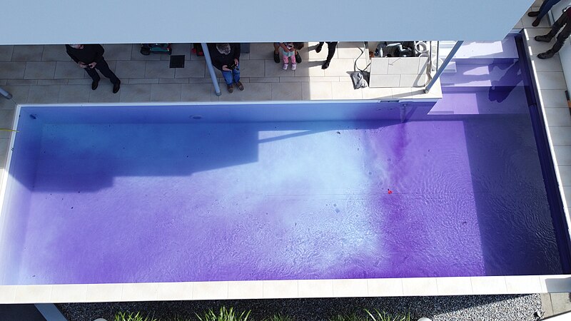 File:Fraxern-dye experiment perfusion-swimming pool (10-28)-06ASD.jpg