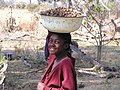 Girl gathering food in the Okavango Delta