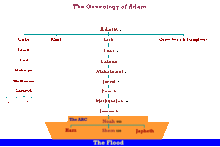 Schéma généalogique d'Adam jusqu'à Noé.