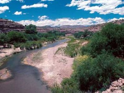 The river in the Gila Box Canyon in eastern Arizona