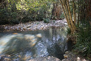 <span class="mw-page-title-main">Glencoe Creek (New South Wales)</span>