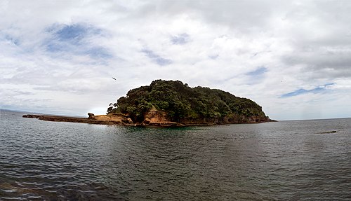 Te Hāwere-a-Maki / Goat Island things to do in Little Barrier Island