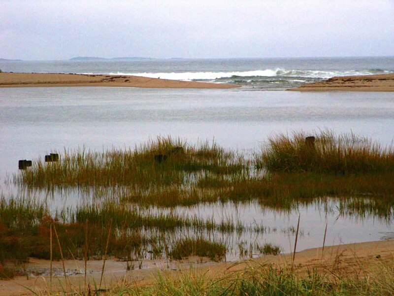 File:Goosefare creek swamp.jpg